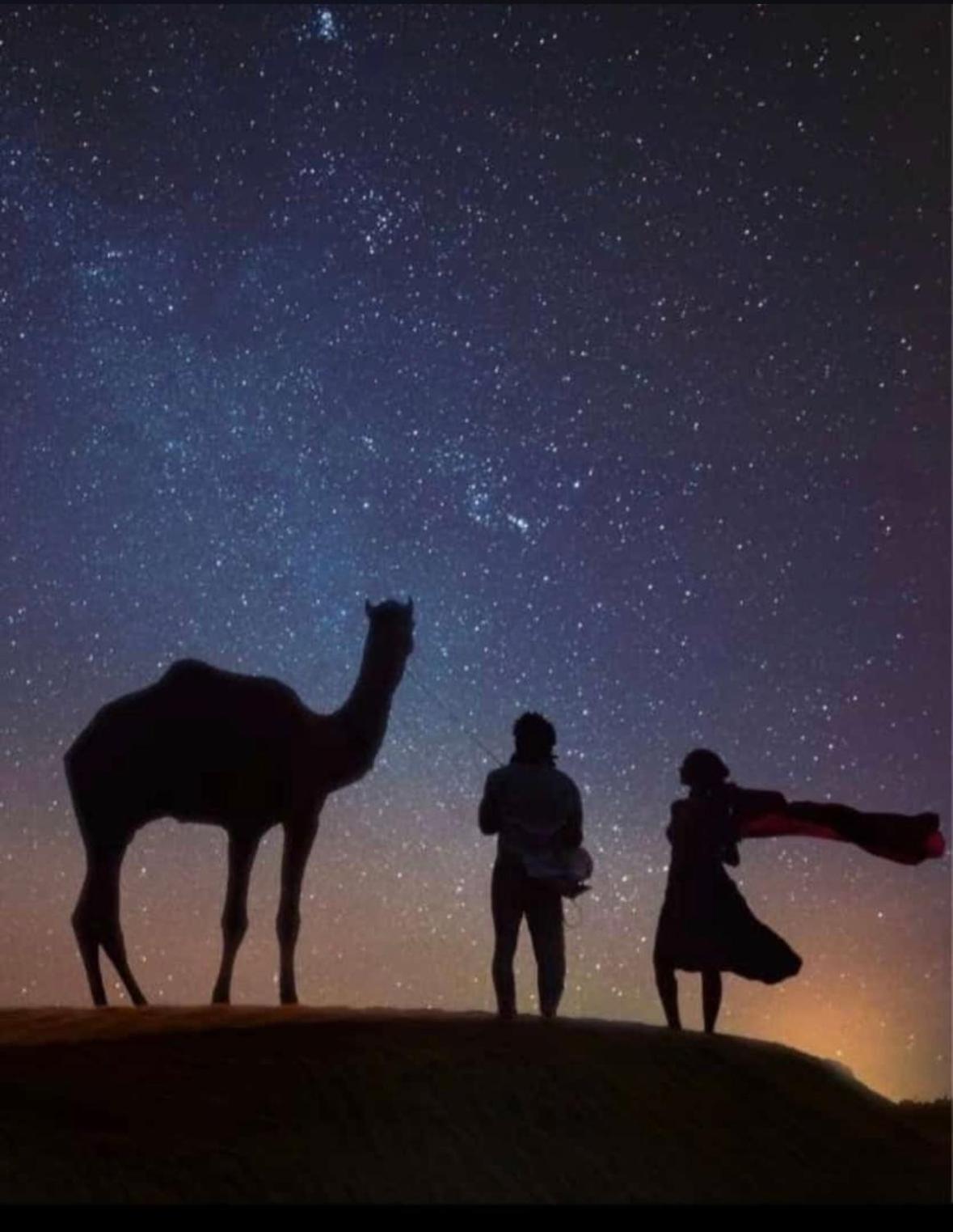 Sonal Desert Camp Jaisalmer Hotel ภายนอก รูปภาพ